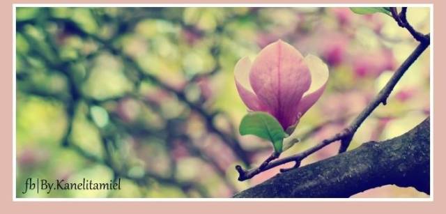 No te lamentes por las experiencias vividas: son lecciones que necesitabas aprender.