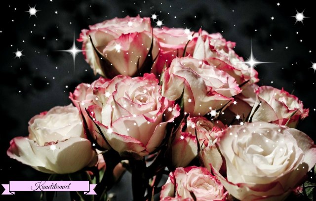 EL REMEDIO PARA TODOS LOS MALES ES EL AMOR