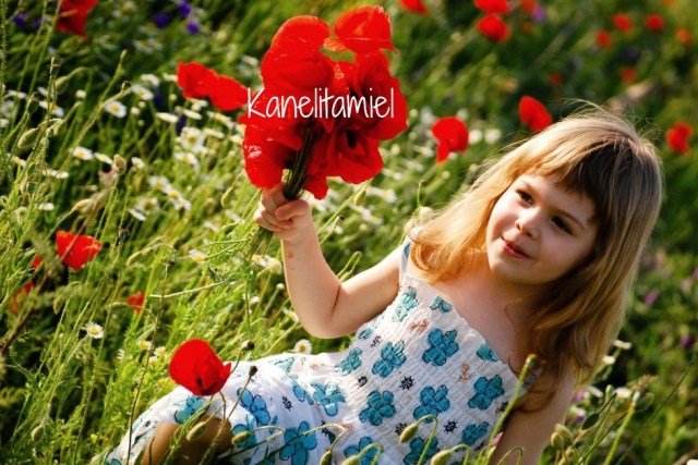 Una nueva oportunidad