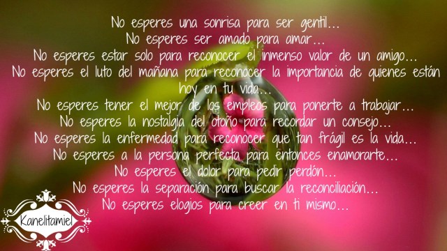 No esperes...
