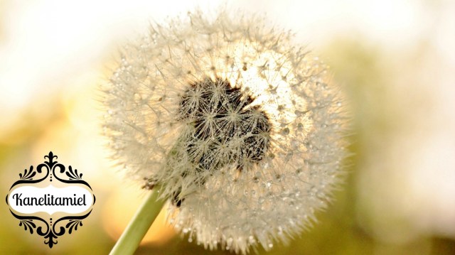 Los que no perdonan...