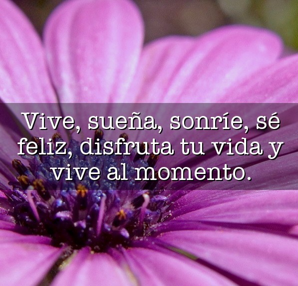 frases.joryx.com_2324_1