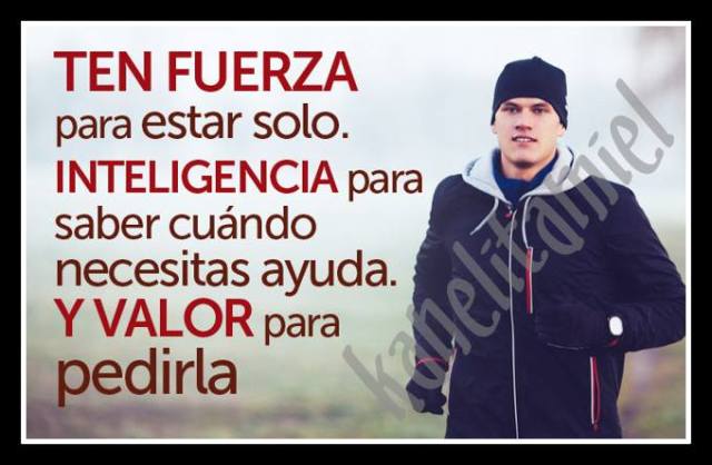 1509119_696925080405298_9074813917034767729_n