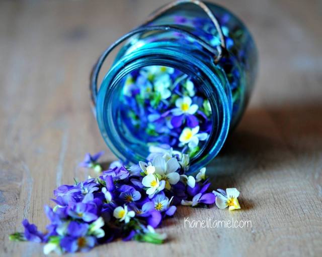 11036591_829593760427069_1610417563671834308_n