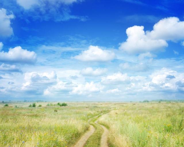 11174838_828152690571176_8424577063605814656_n