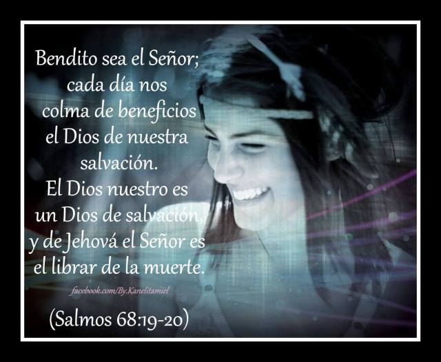 11893993_823634601067678_4200229553770728199_o