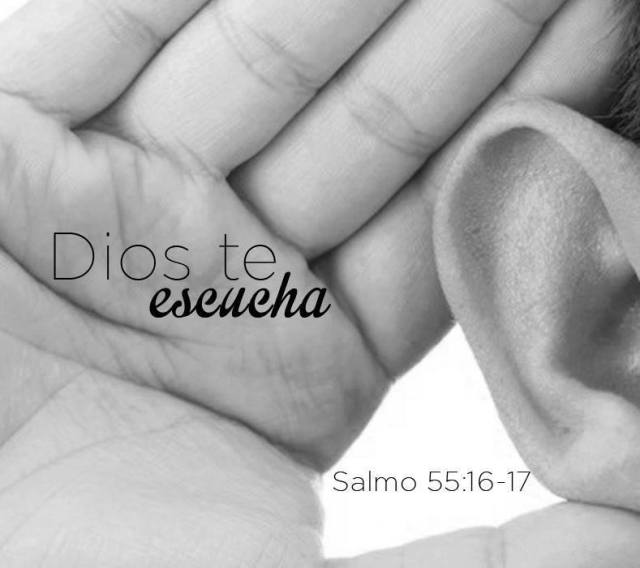 10494800_10152533517111772_2127775261873427269_n