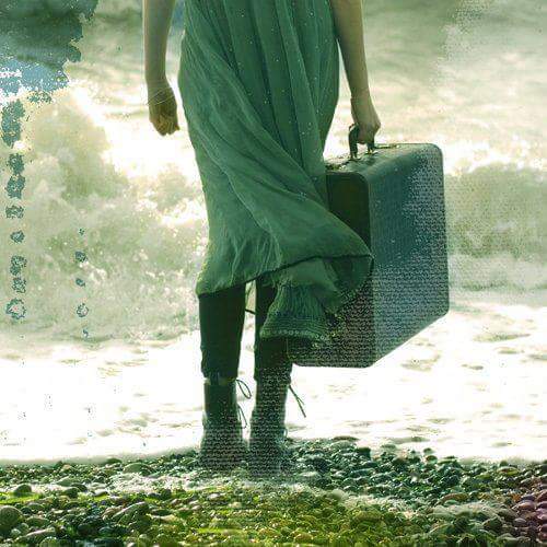 11796369_918579754887537_6338130809964441702_n