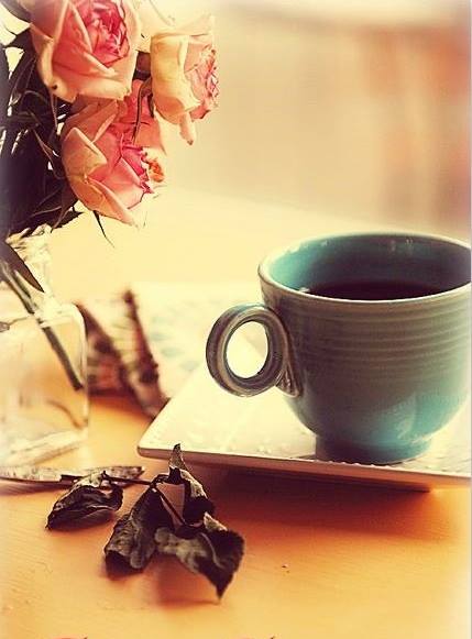 12038280_1059389067405341_7119985109155945825_n