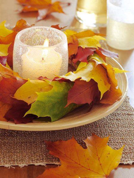 12079233_1064357216908526_129884998972347098_n