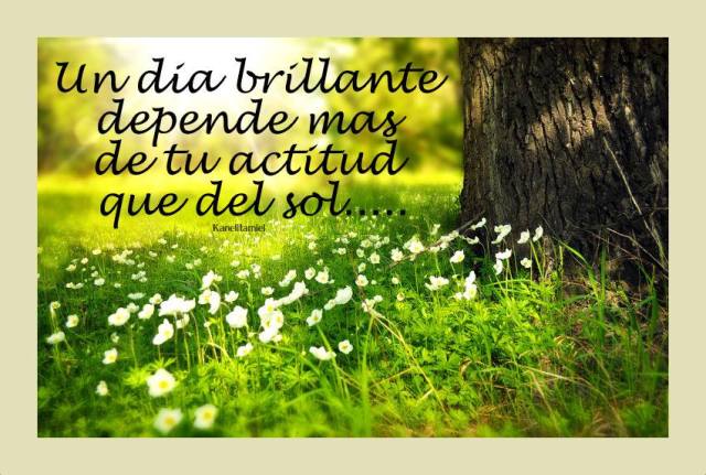 12144869_917650864980426_7127233569631307797_n