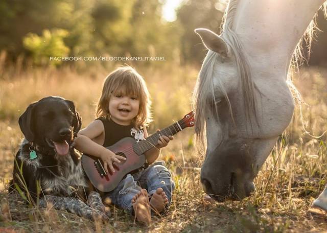 12188944_919401041472075_7544870146120952061_n