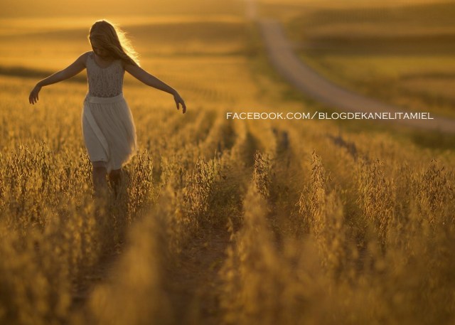 devochka-pole-solnce-doroga