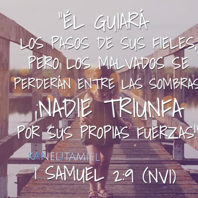 17022097_269183410184162_704546459059666135_n