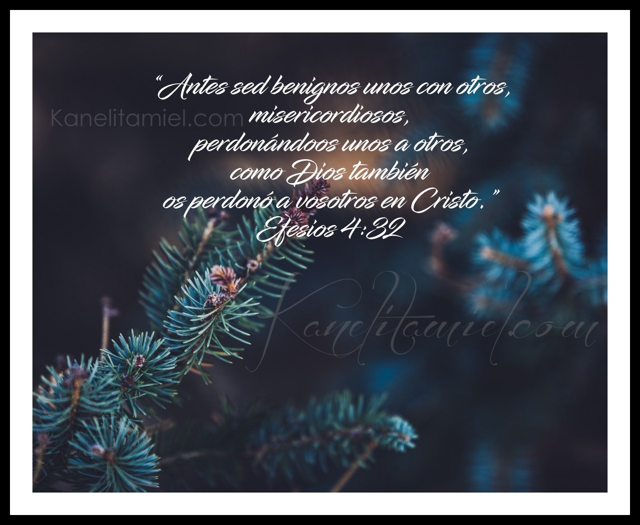 igolki-zelenye-derevo-el